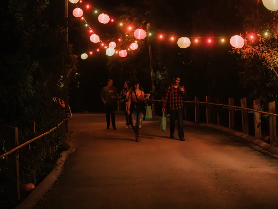 Guests walk a zoo path at night under strings of glowing lanterns.